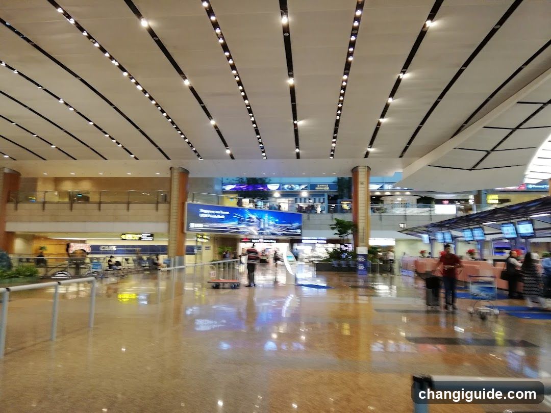 Airport Terminal Interior