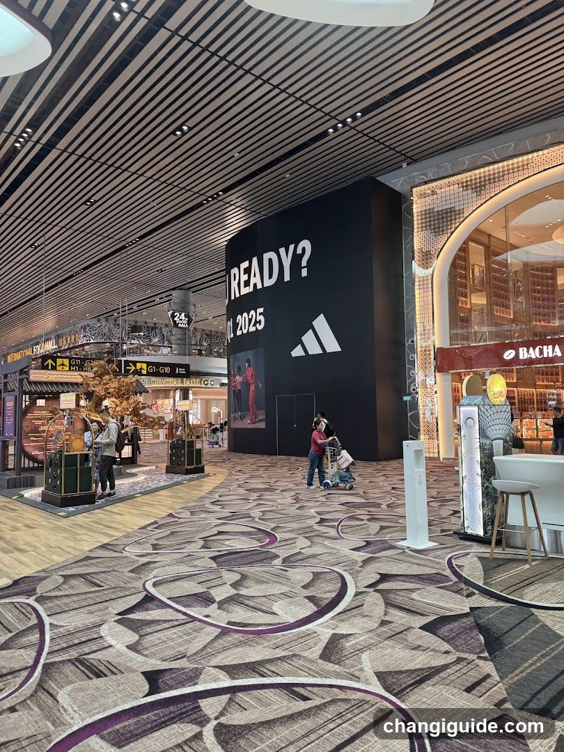 Airport Terminal Interior with Branding and Storefronts