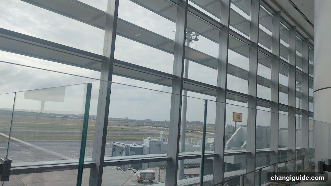 Airport Terminal View
