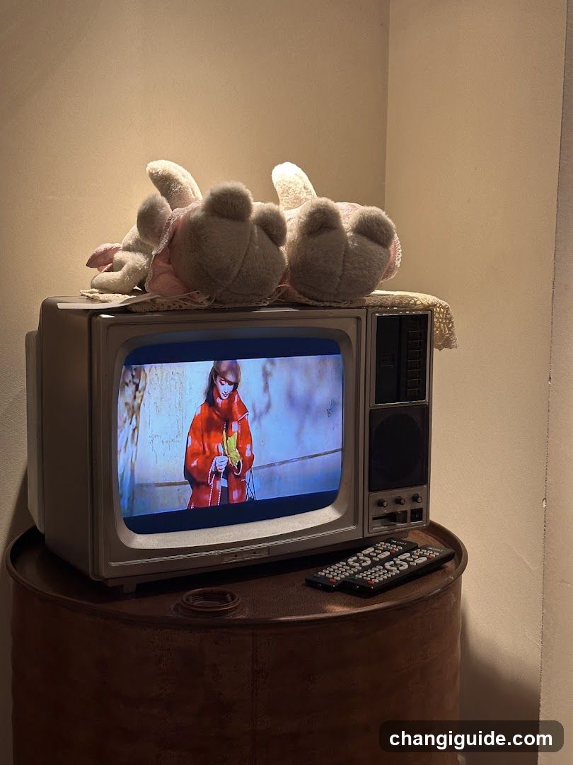 Vintage TV with plush toys