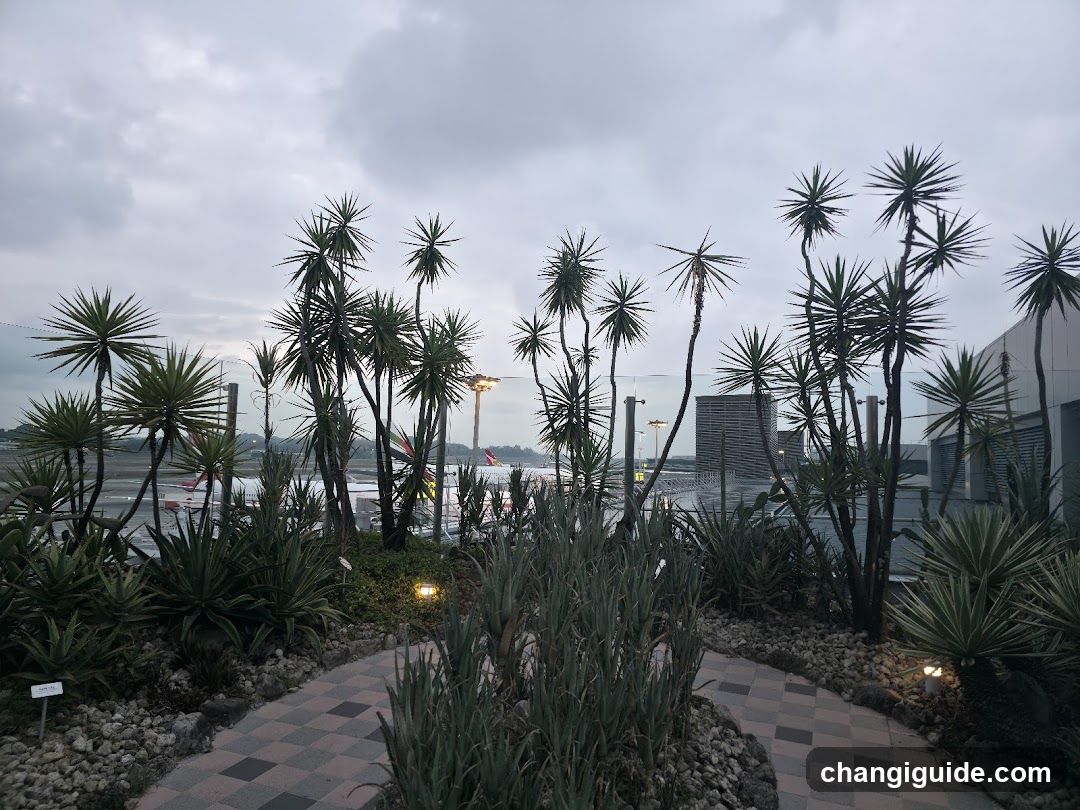 Airport Garden View