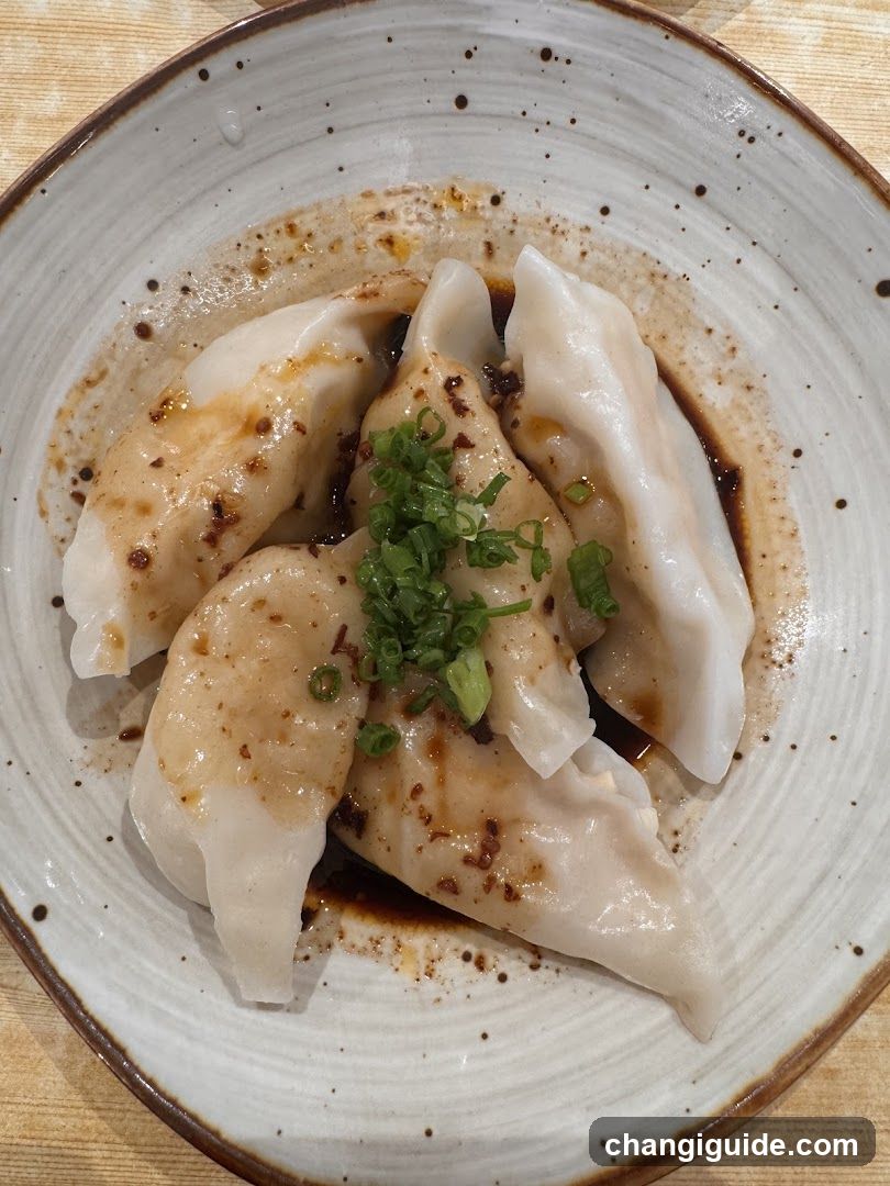 Dumplings with Sauce and Scallions