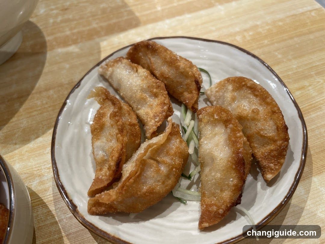 Gyoza Plate