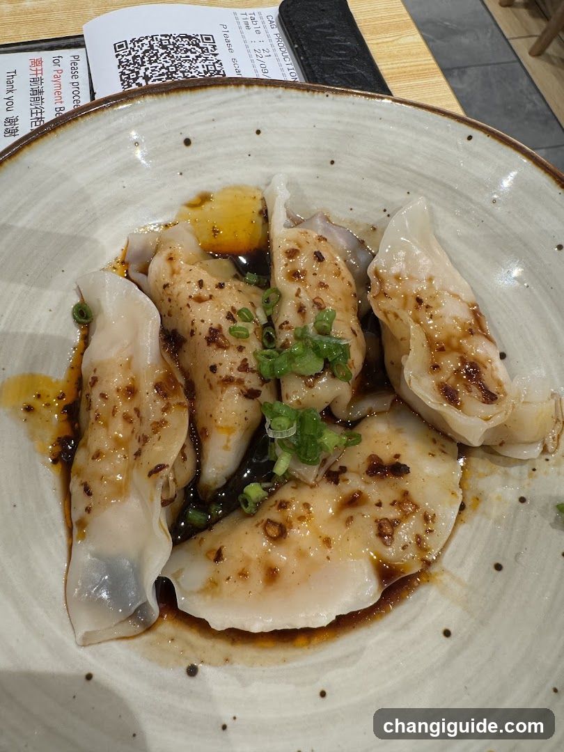 Dumplings with Sauce and Green Onions