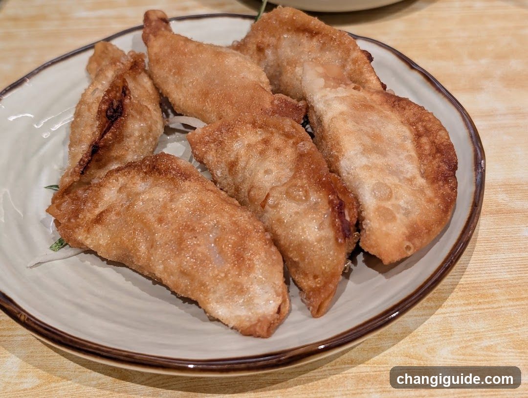 Fried Dumplings on a Plate