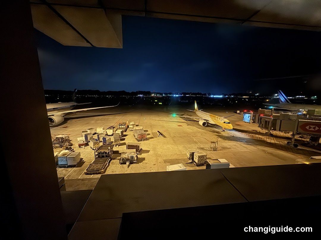 Airport Terminal View at Night