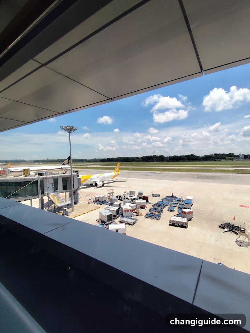 Airport Terminal View