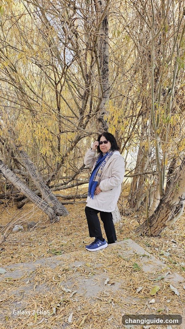 Woman in a park with willow trees