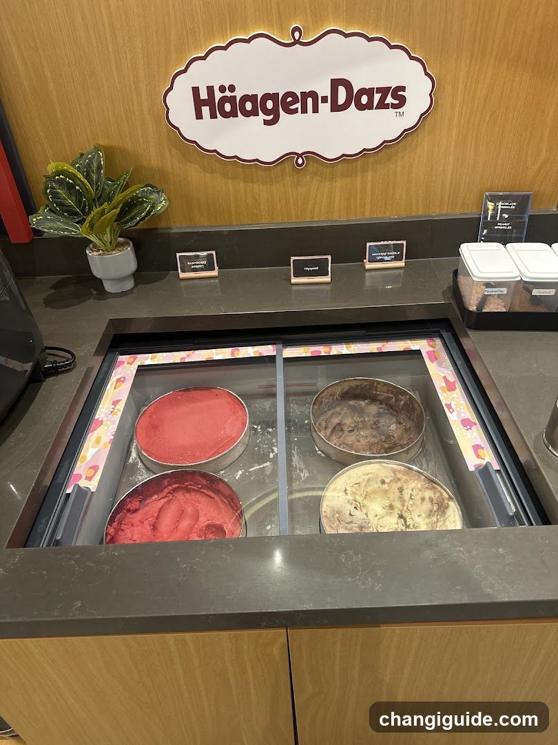Häagen-Dazs Ice Cream Display