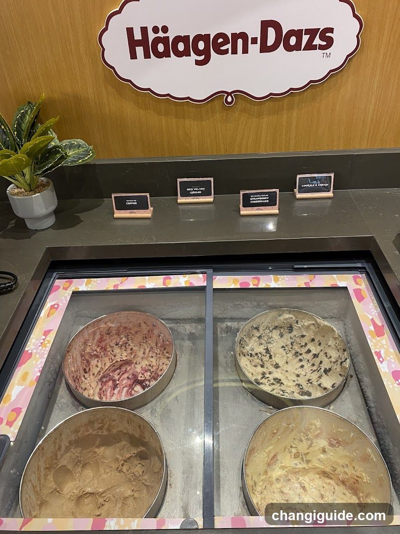 Häagen-Dazs Ice Cream Display