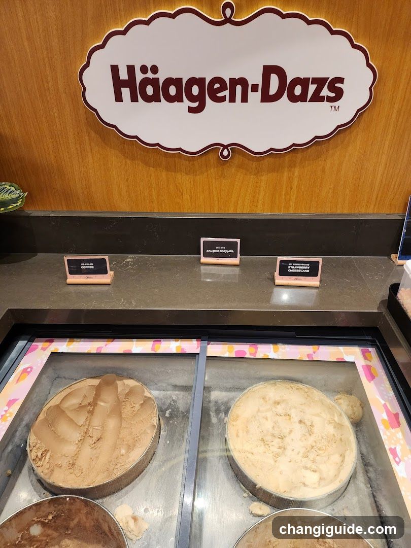 Häagen-Dazs Ice Cream Display