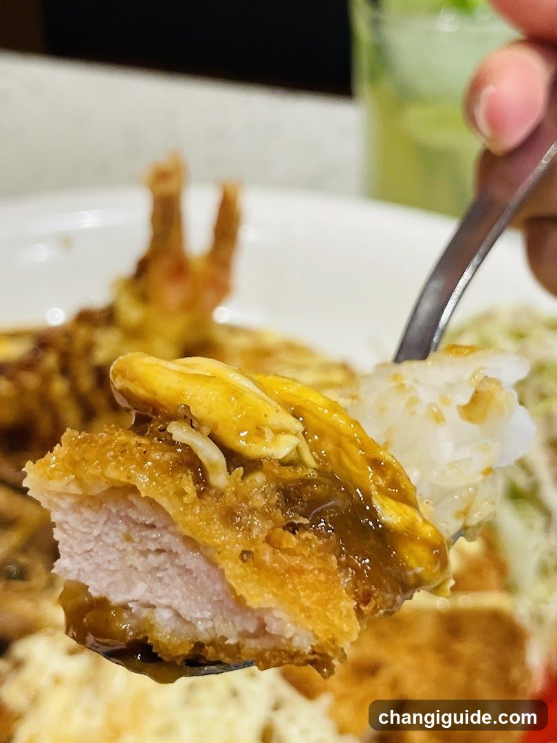 Crispy Fried Chicken with Rice