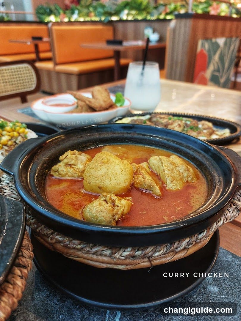 Curry Chicken Dish