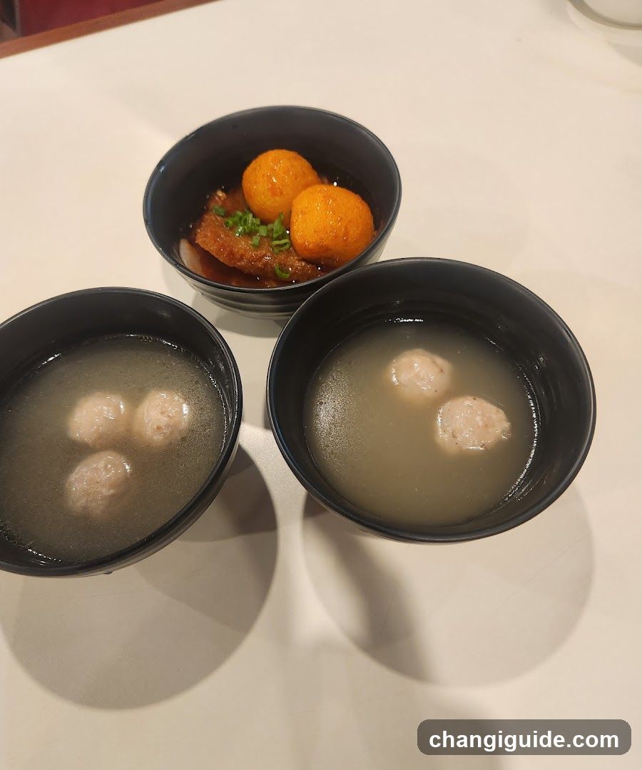 Three Bowls of Soup with Meatballs and Dumplings