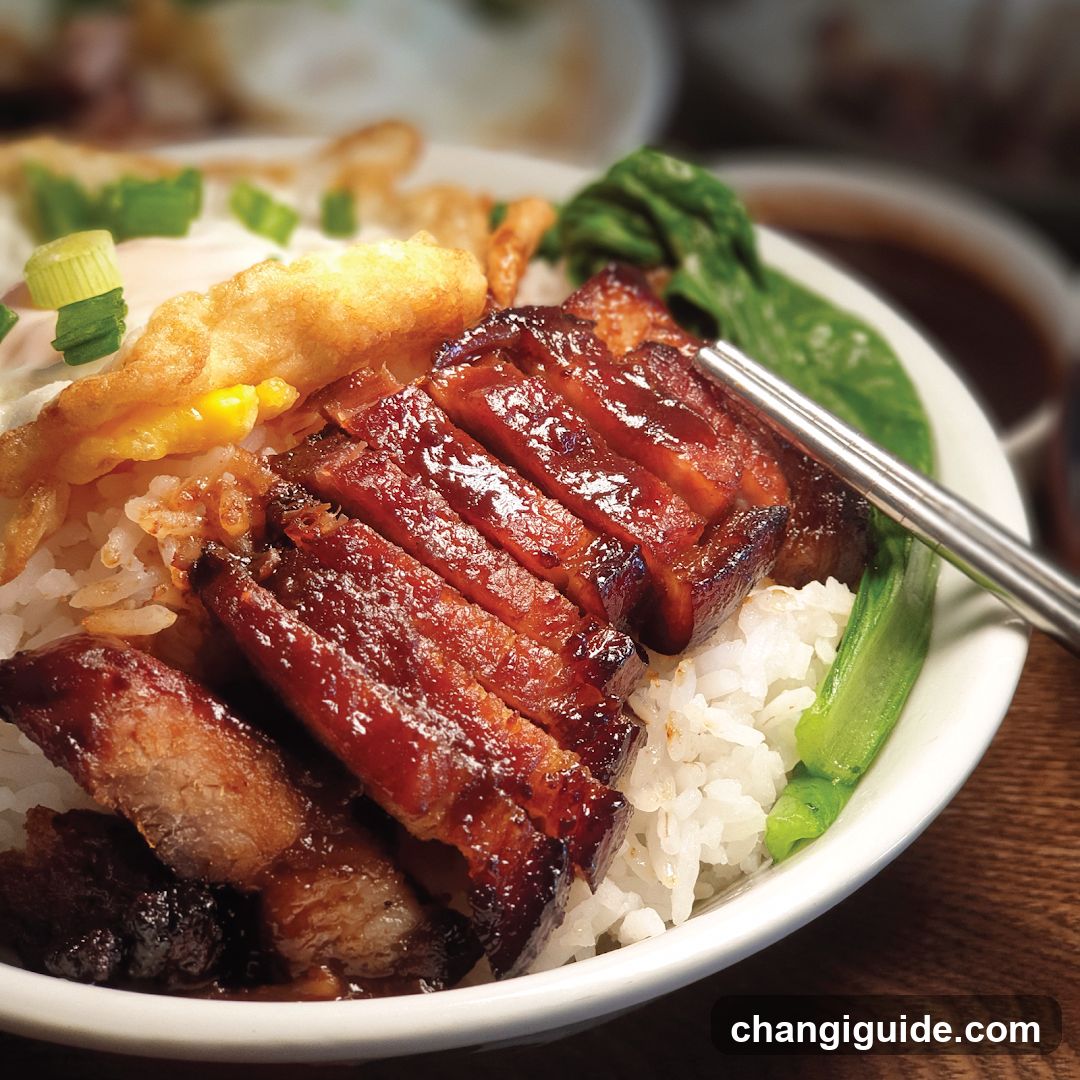 Braised Pork Rice Bowl