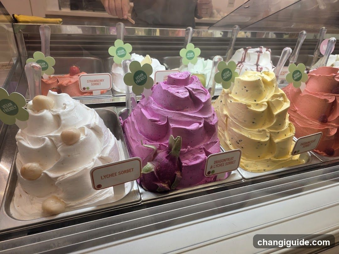 Vegan Gelato Display