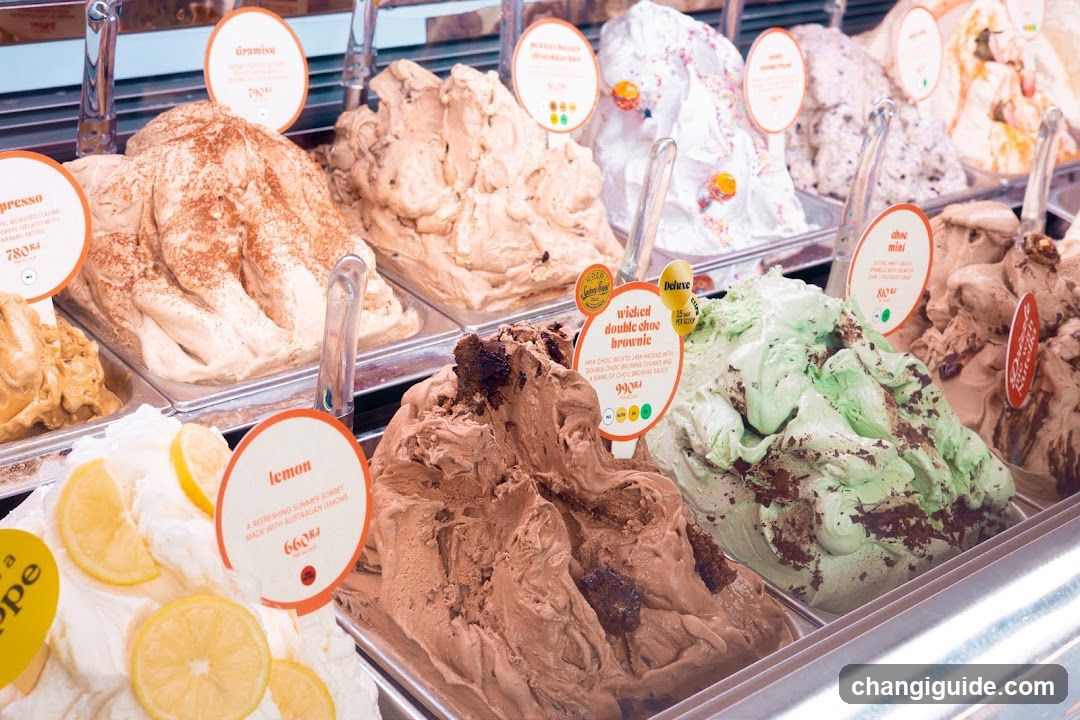 Gelato Display Case