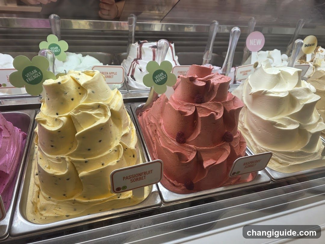 Gelato Display Case