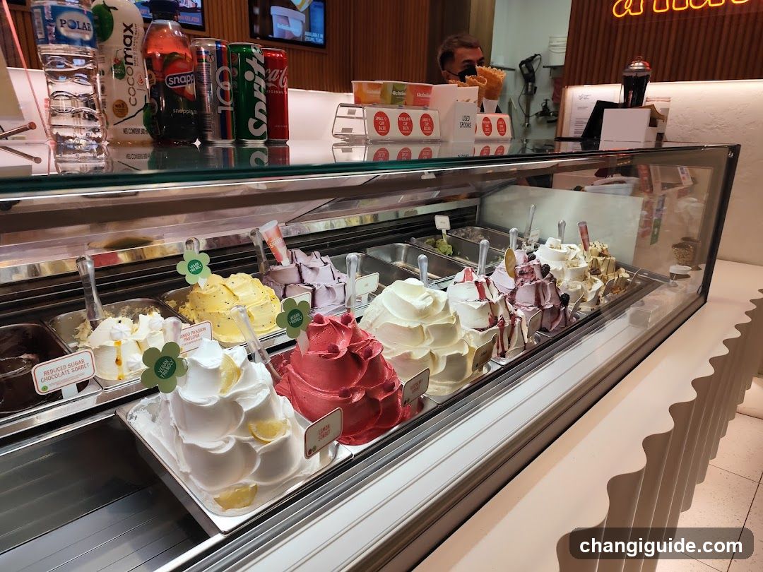 Gelato Display Case