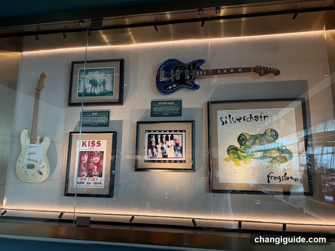 Music Memorabilia Display Case