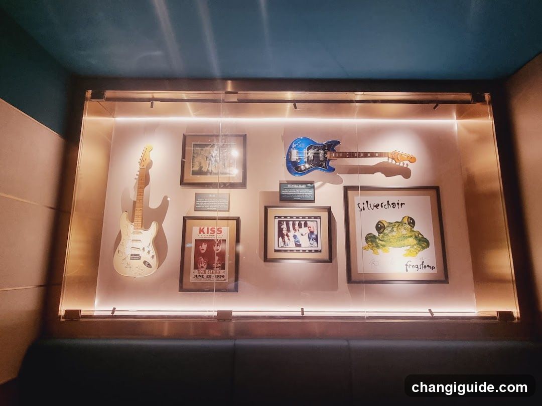 Music Memorabilia Display Case