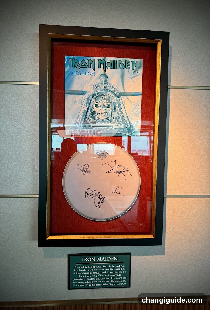 Iron Maiden Display Case