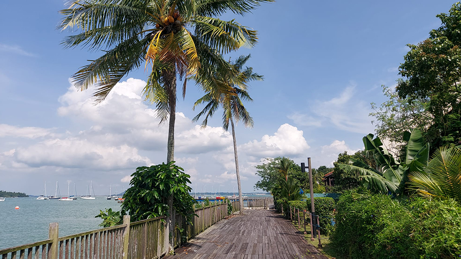 Cliff Walk to Sailing Point Walk is still closed on Changi Boardwalk
