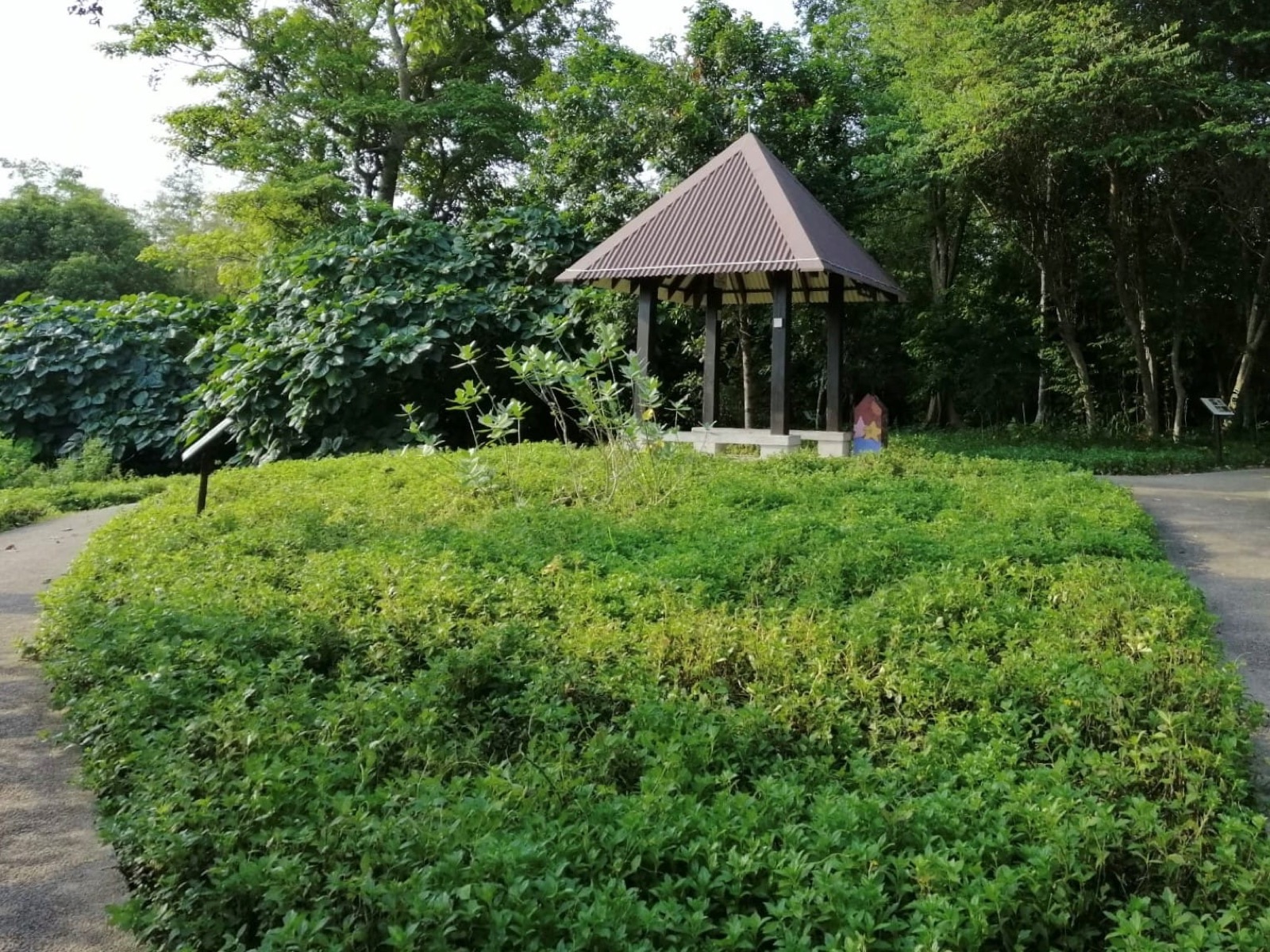 Shelter at Butterfly Hill on Pulau Ubin, still open while Chek Jawa Coastal Loop works continue