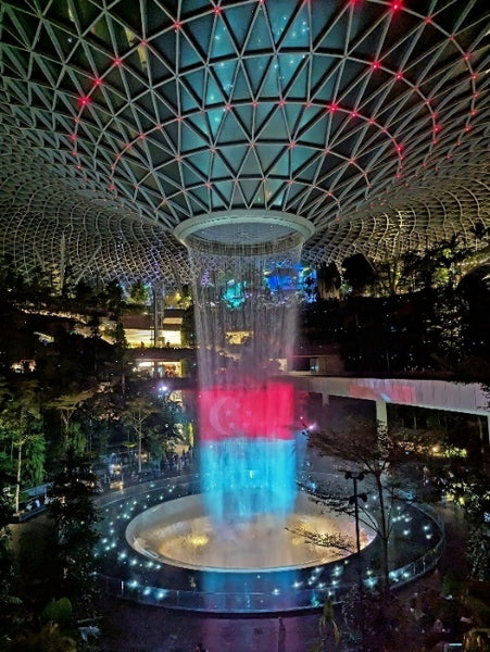 Giant National Day floral displays at Changi Airport including Vanda Miss Joaquim and illuminated bougainvillea tree
